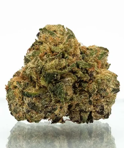 Zerbert Strain