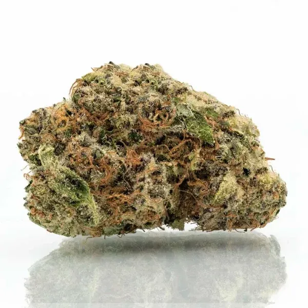 img3_2865 Blue Lobster Strain — Smoky Gardenz Shop | Premium CBD & Hemp Products
