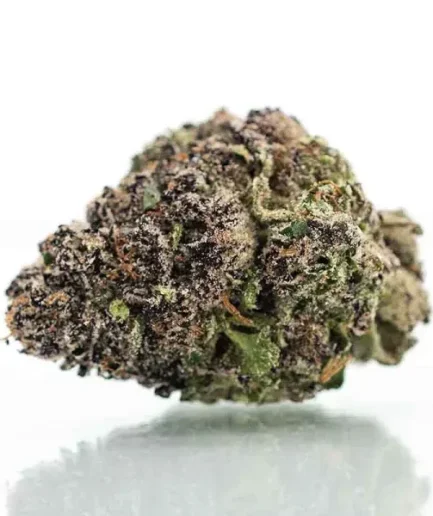 Obama Runtz Strain