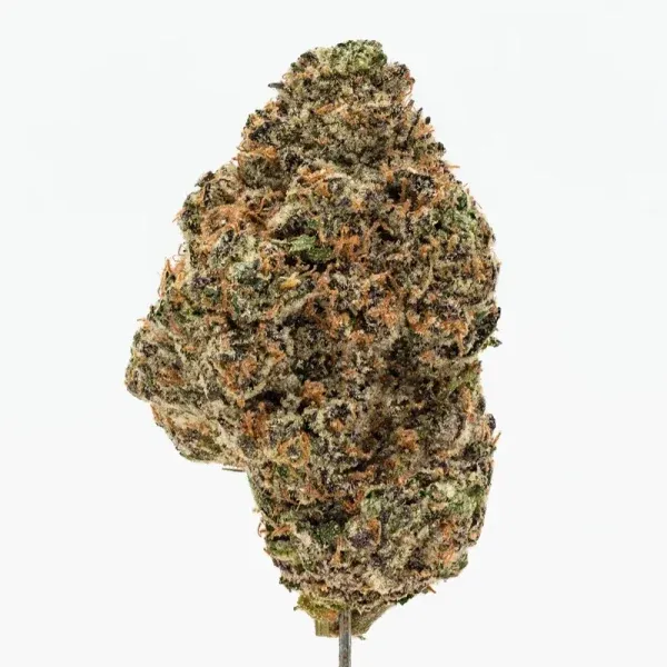 SMCBD product image Grape Pie Strain — Smoky Gardenz Shop | Premium CBD & Hemp Products