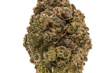 Blue Nerds THCa flower buds