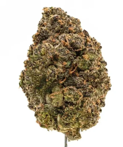 Blue Nerds THCa flower buds